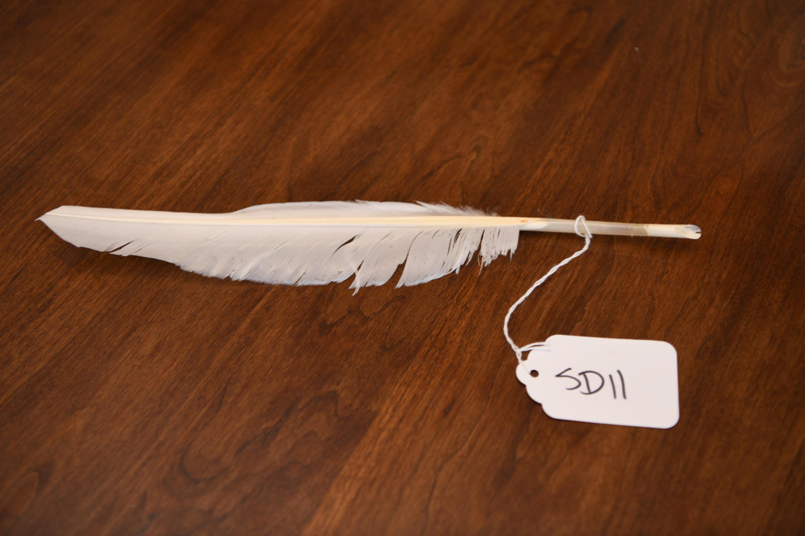 Goose Writing Quill | SD11