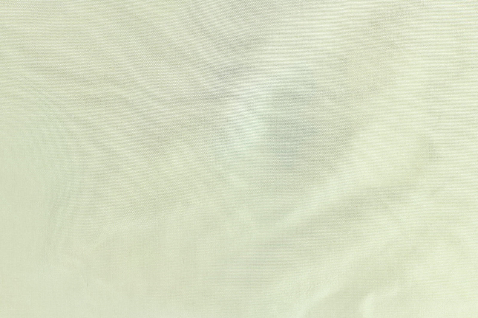 Glass Slipper Silver Silk Taffeta