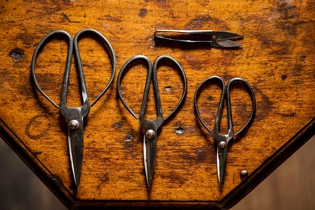 18th Century Scissors and Snips