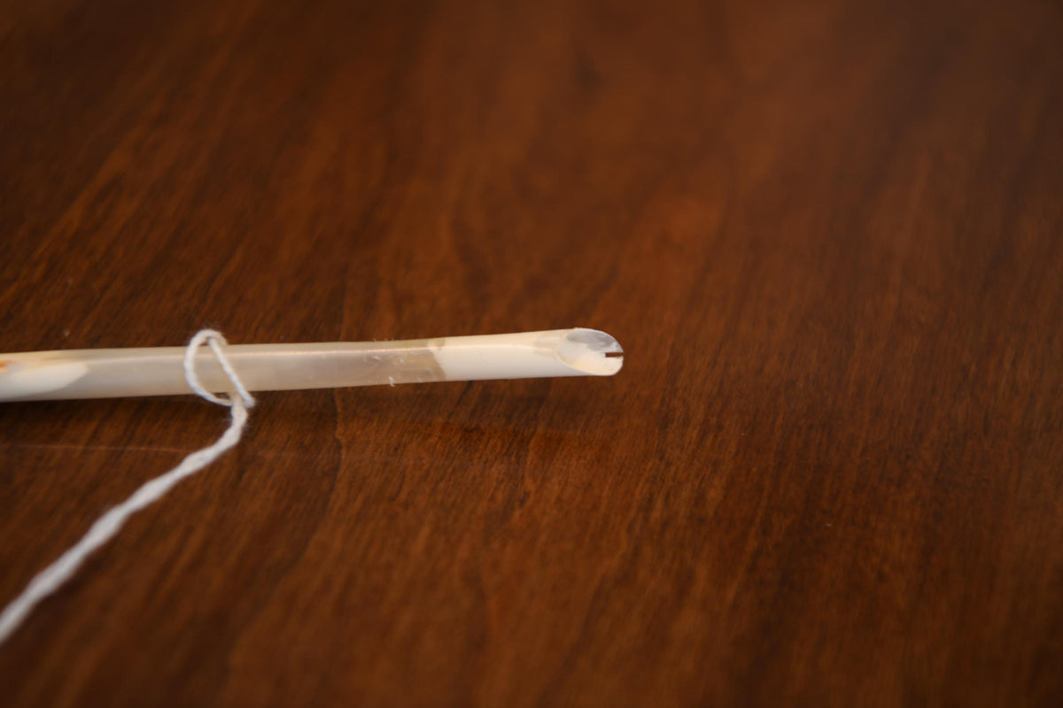 Goose Writing Quill | SD11