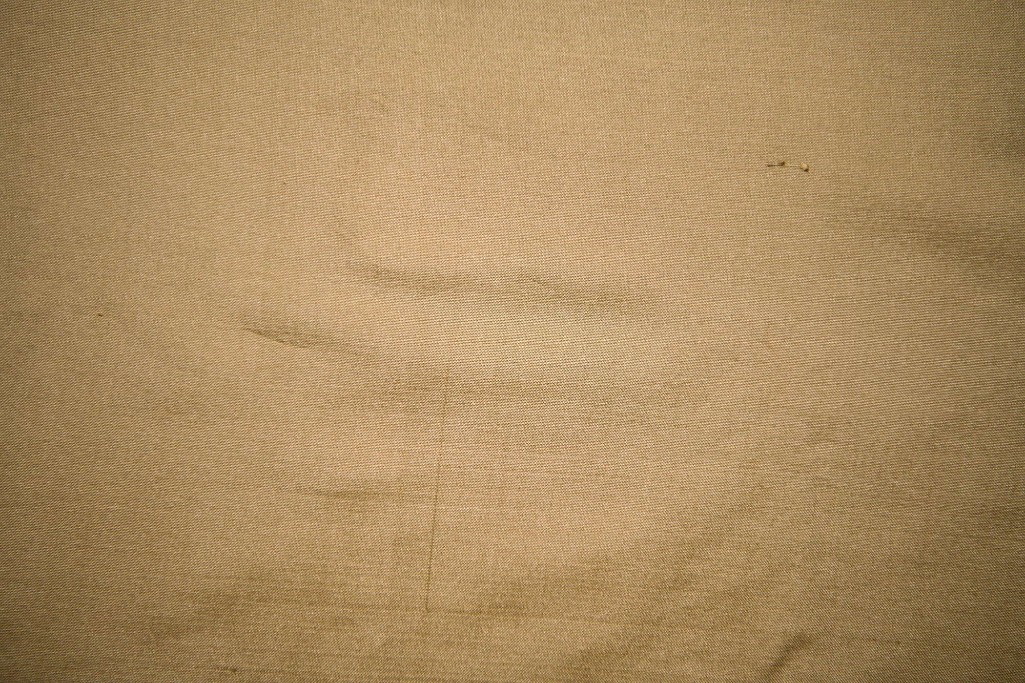 Champagne Gold Silk Taffeta