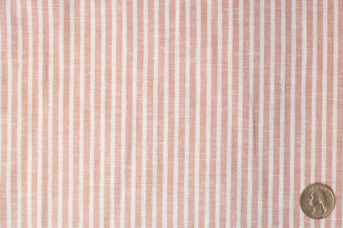 Cinnamon and White Stripe