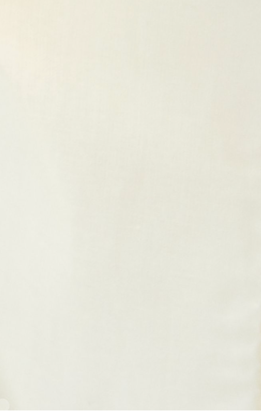 Solid Cotton Handkerchiefs